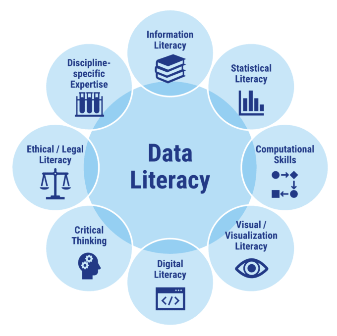 Data Literacy