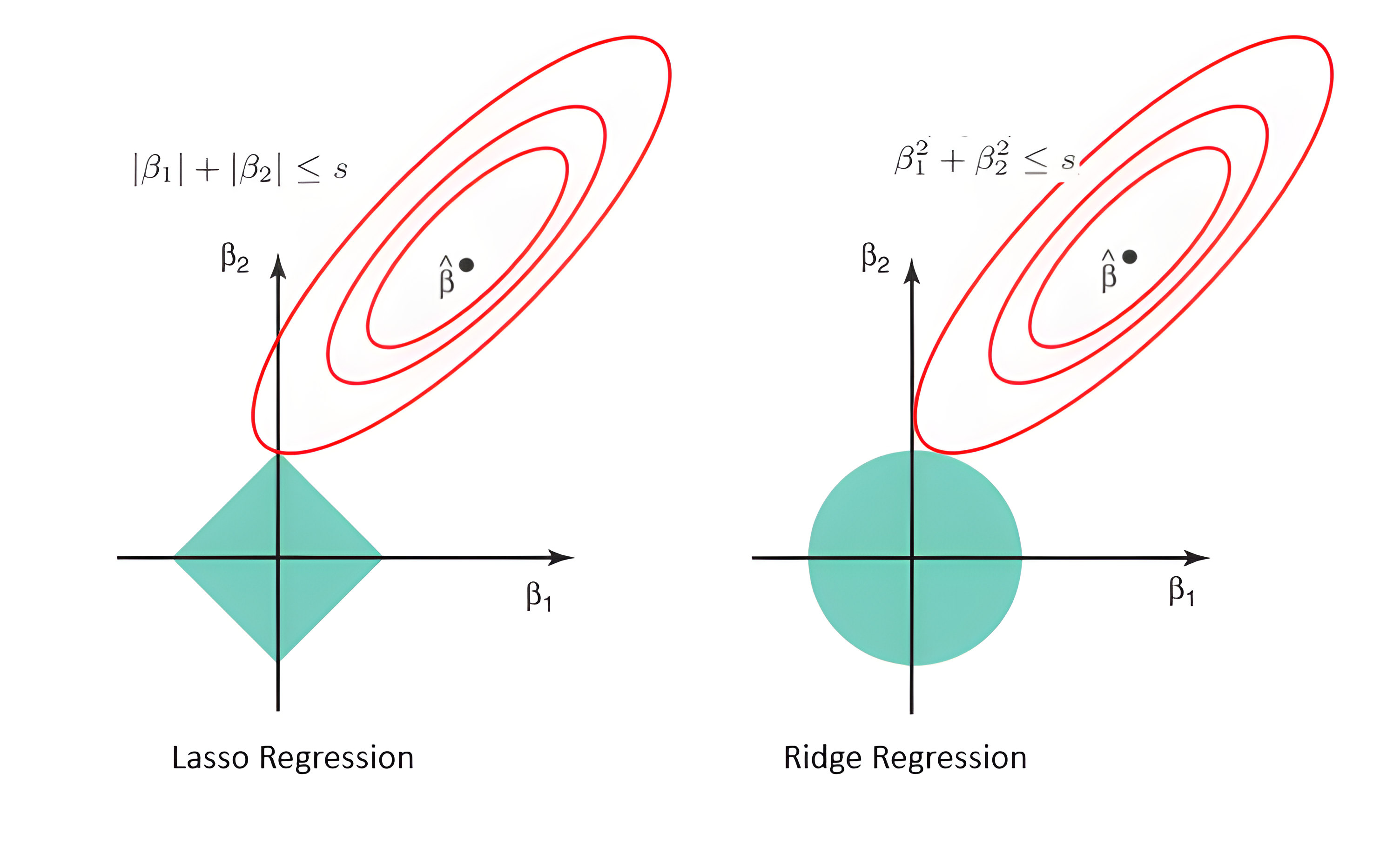 Machine Learning with Ridge and Lasso Regression