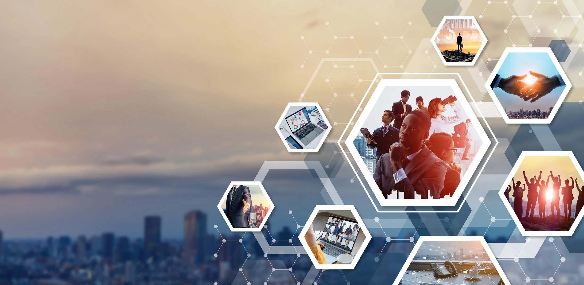 Digital Platforms and Ecosystems Business and Partnership