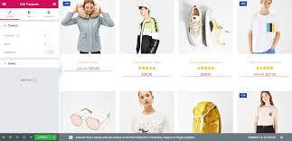 Build Profitable E-Commerce Stores with WordPress & Woostify Course